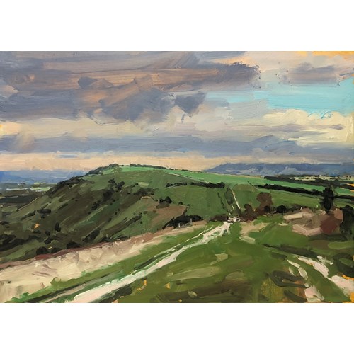 South Downs path, 2025